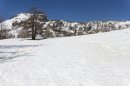 Près du lac des Grenouilles